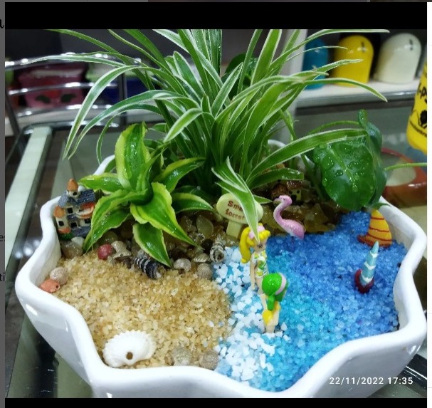 Terrarium-4