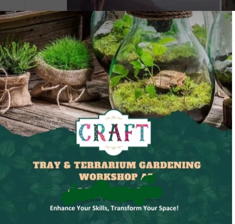 Terrarium Workshop